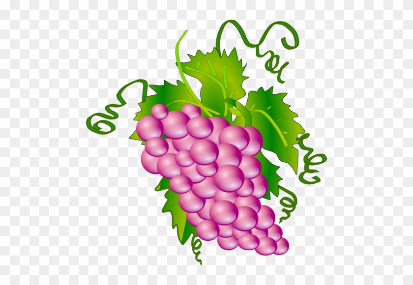 Grape Vector Graphics - Grapes Tree Clip Art #360438