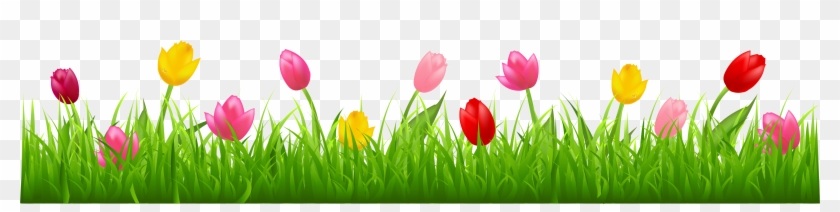 Tulips Clipart Border #360594