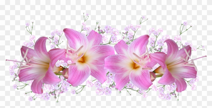 Belladonna Lilies, Arrangement, Decoration, Flowers - Belladonna Flower #360673