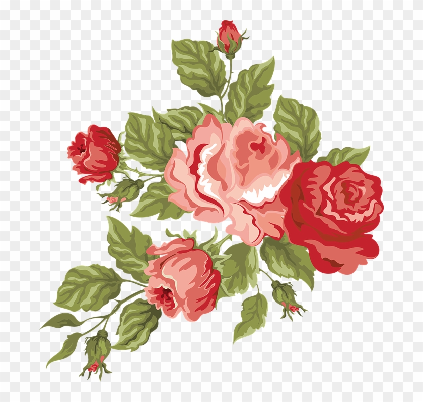 Flower Illustrations 18, Buy Clip Art - Flower Rose Pink Png #360684