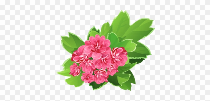 Bouquet Of Fresh Pink Flowers - Real Flower Clip Art #360703