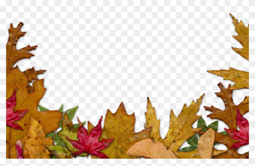 Autumn Leaves Border Png #360720