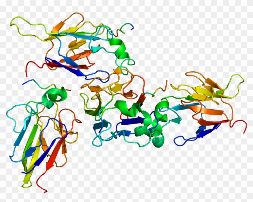 Serine Protein Kinase Atm #360713