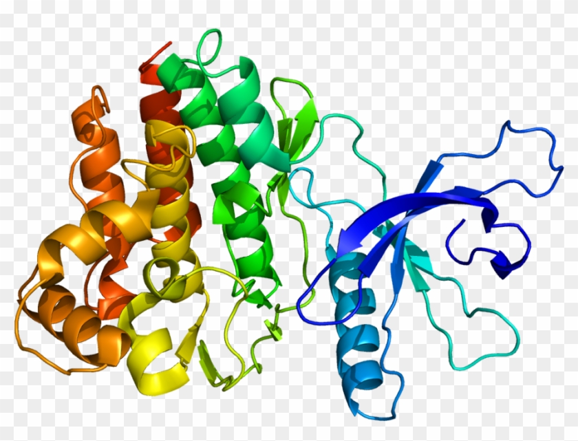 Il 3 Protein Structure #360831