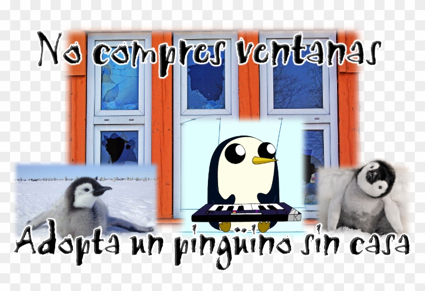 Oghdzp0 - La Marcia Dei Pinguini - Il Richiamo (dvd) #360936