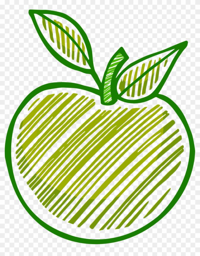 Vector Line Drawing Apples - Vector Line Drawing Apples #361121