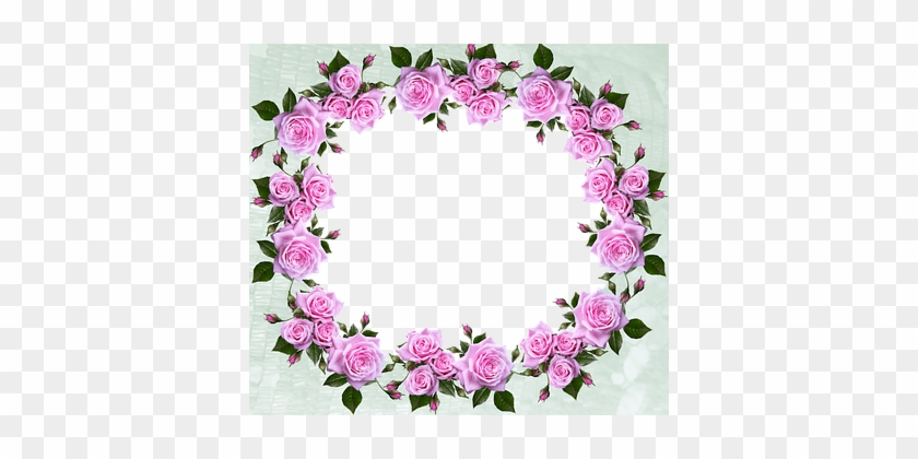 Frame, Border, Roses, Pattern, Decorative - Border #361459