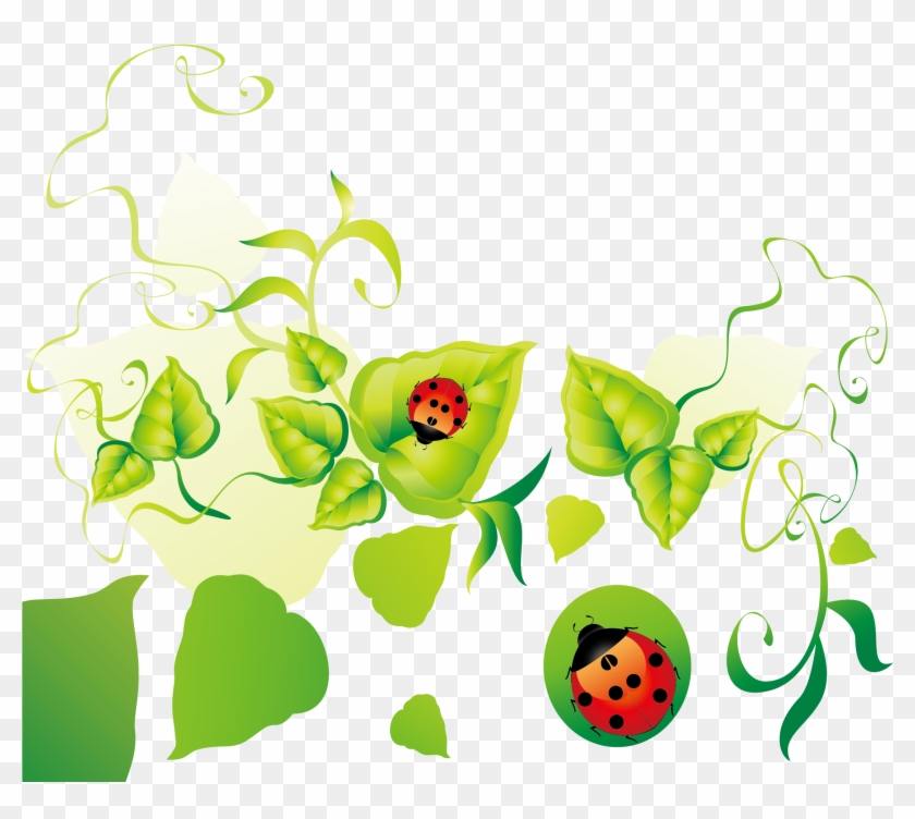 Floral Design Leaf Clip Art - Portable Network Graphics #361468