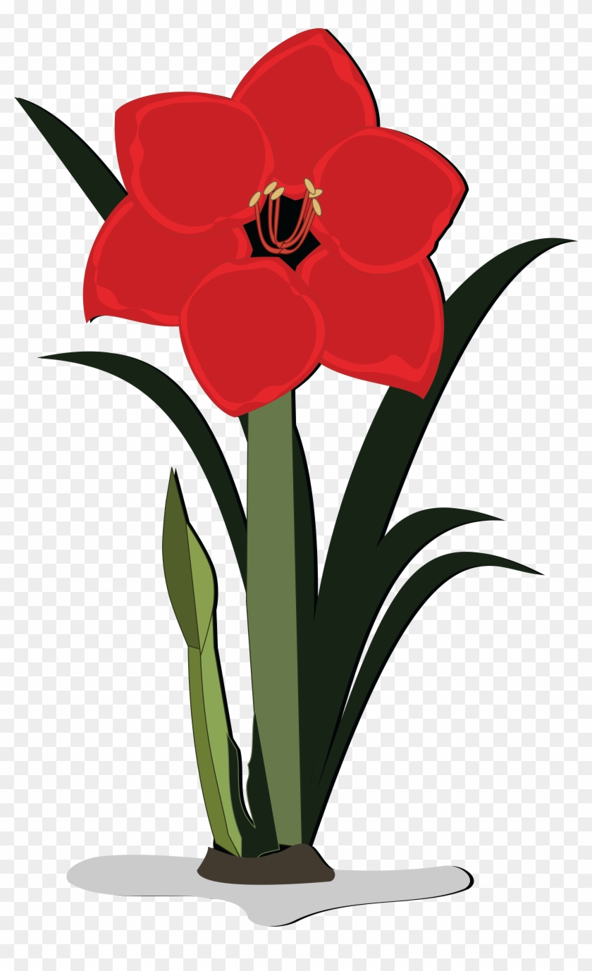 Free Clipart Of An Amaryllis Flower - Amarilis Png Transparente #361836