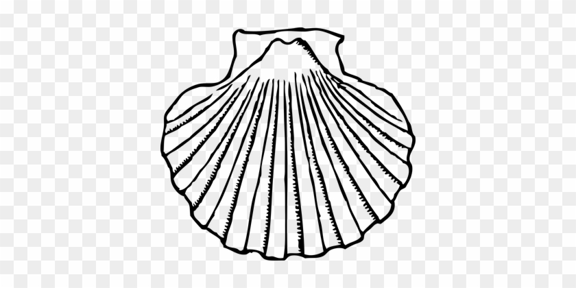 Pilgrim - Shell Clipart Images Black And White #362249