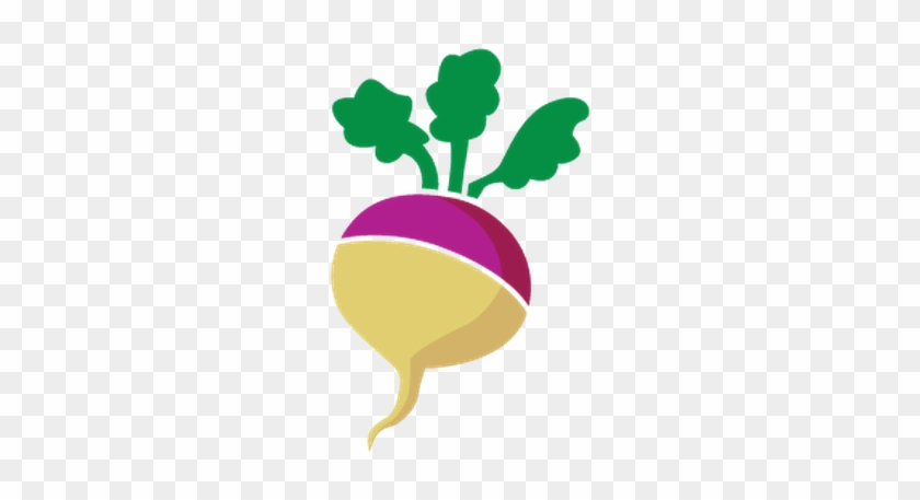 Cornucopia And Produce - Turnip #362307