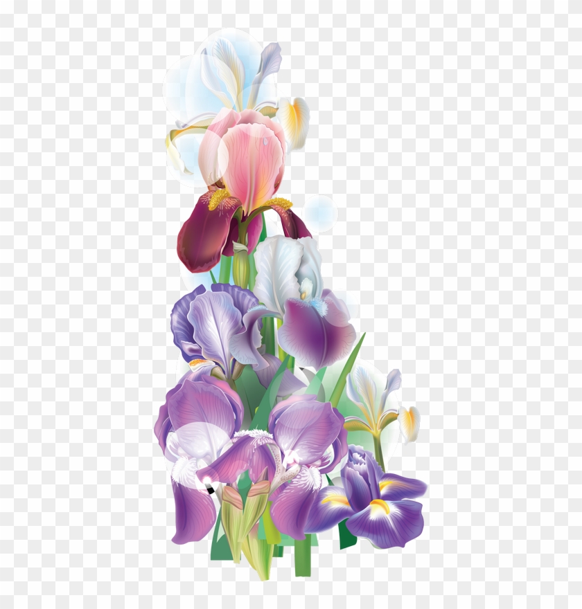 Fleurs, Éclat, Ornement, Flowers, Tubes, Bouquets, - Moth Orchids #362405