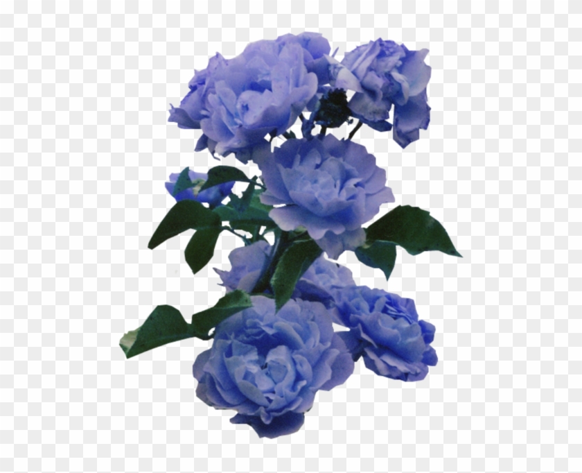 Transparent Blue Flowers - Blue Flower Sticker Png Transparent #362410