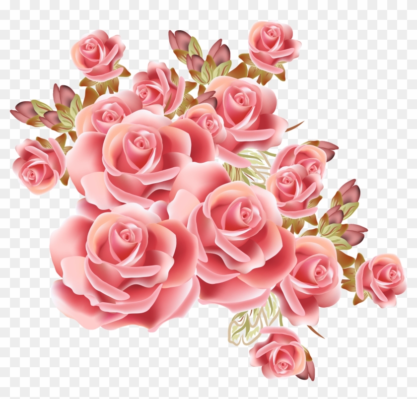 Rose Flower Drawing Stock Photography - Rose Background #362417