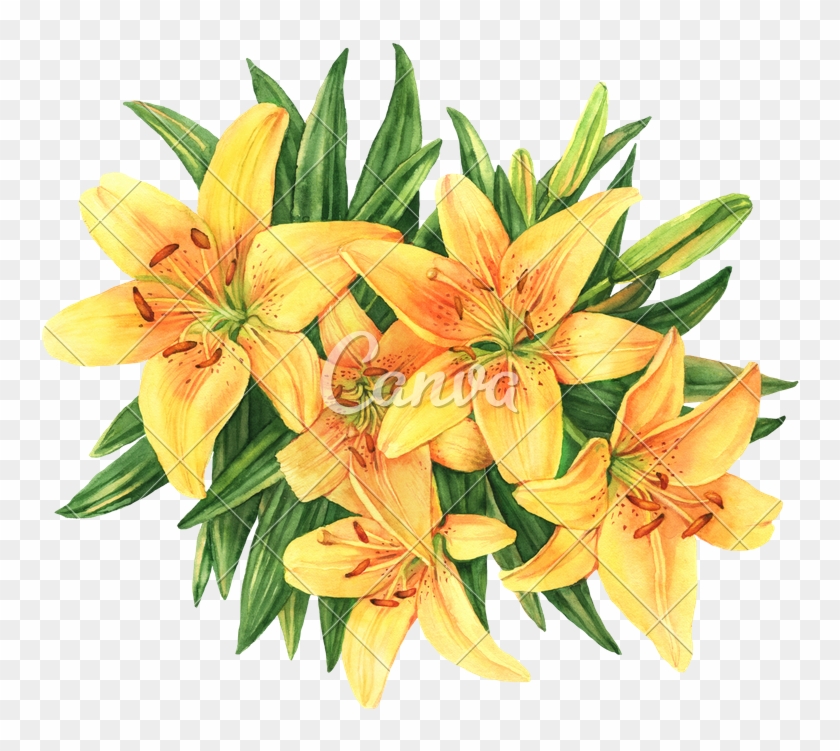 Yellow Lilies Bouquet Flower Botanical Watercolor Illustration - Flower Bouquet #362418