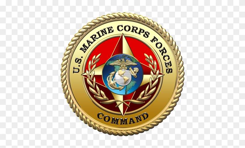 A Look At The Operations Of Marine Corps Of United - United States Marine Corps Forces Command #362431