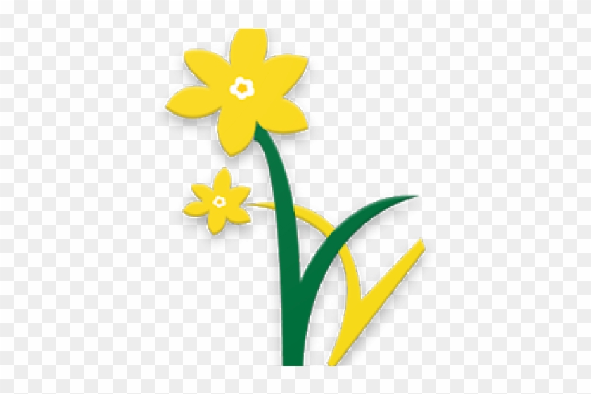 Daffodils Clipart Google - Parent #362835