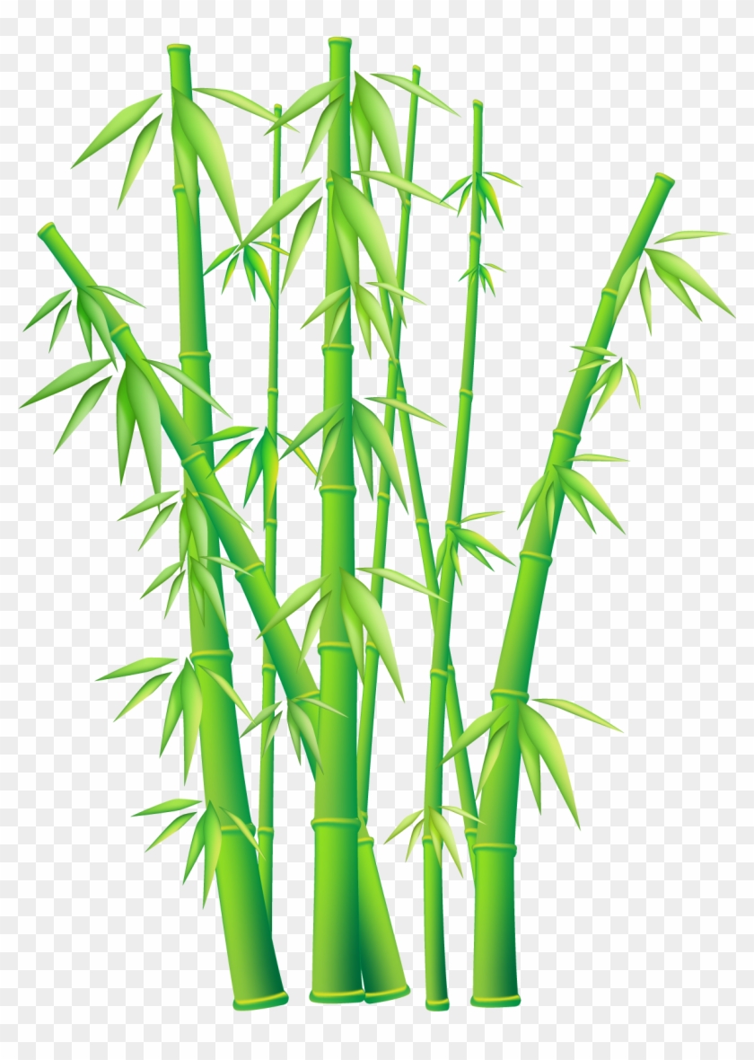 Green Grass Border Clipart Free Image - Vector Bamboo Png #362886