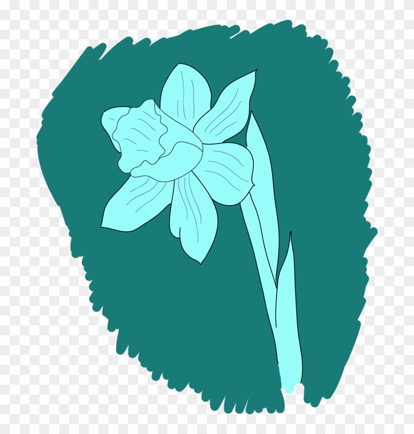 Daffodil Drawing - Drawing #362944