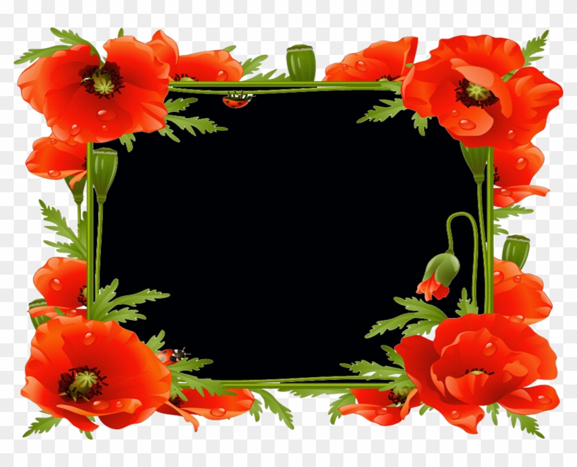 Plantillas Para Adornar Marcos Para Photoscape, Photoshop - Orange Flowers Photo Frame Transparent #363146