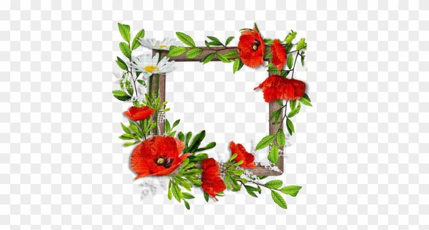 Cadre Coquelicot Deco Frame Poppy Flowers - Dal Egy Szép Leányról Kassák Lajos #363147