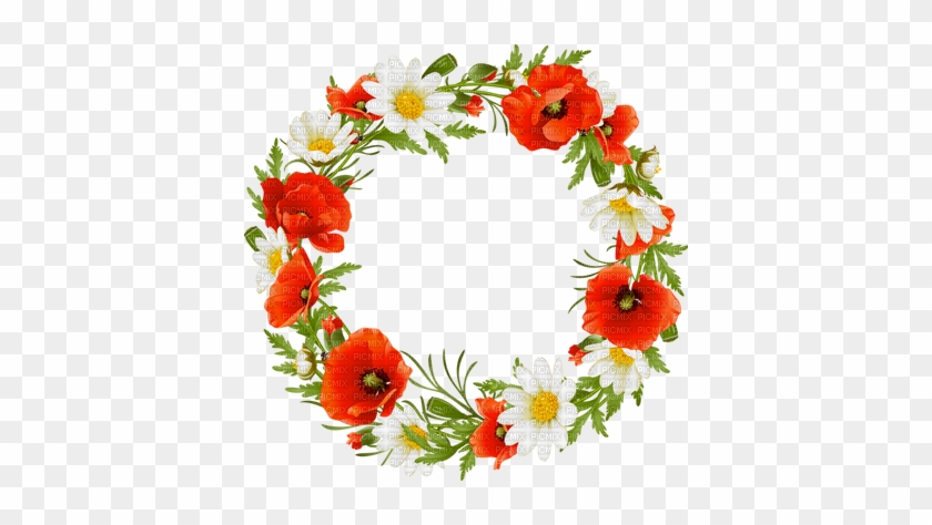 Cadre Coquelicot Deco Frame Poppy Flowers - Wreath Of Flowers Clipart #363148