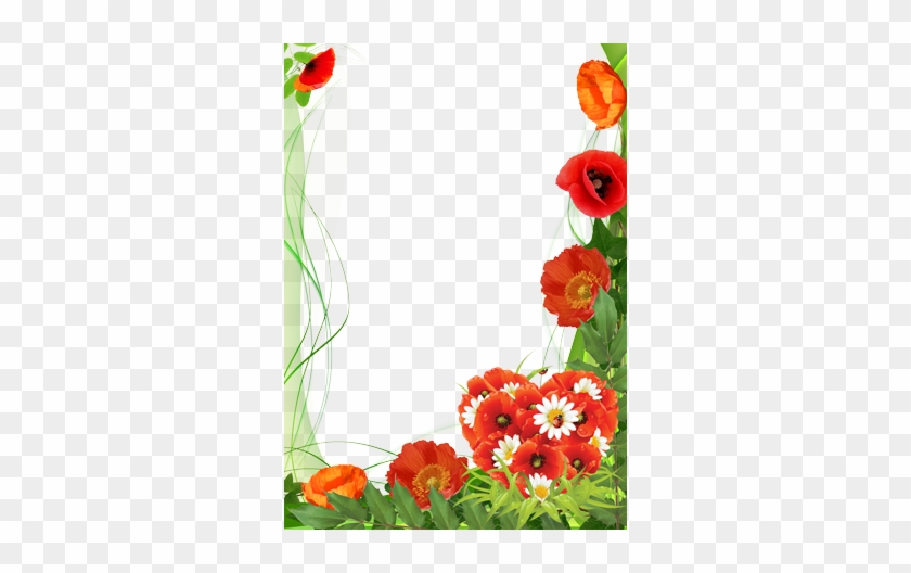 Poppies Color Of Love - Mother's Day Png Frames #363149