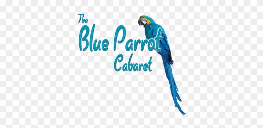 Blue Parrot Cabaret - Macaw #363251