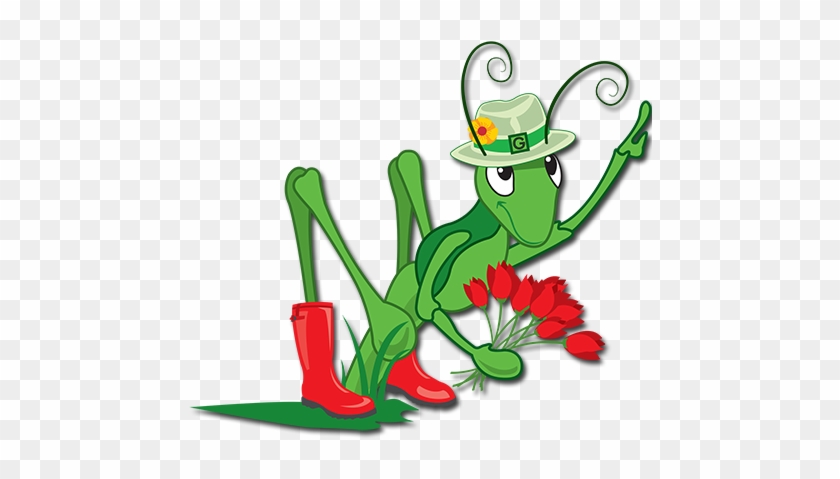 Grasshopper Clipart Spring - Cirencester #363618