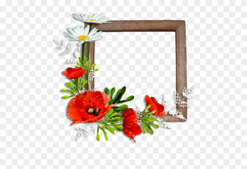 Picture Frames Flower Common Poppy Floral Design - Picture Frames Flower Common Poppy Floral Design #364090