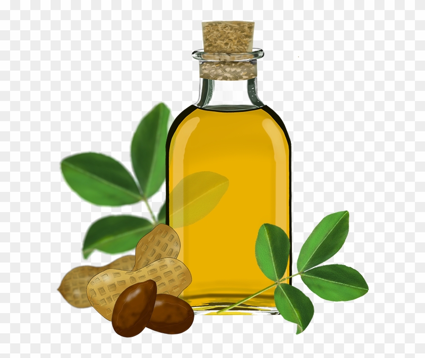 Olive Oil Transparent Background #364089