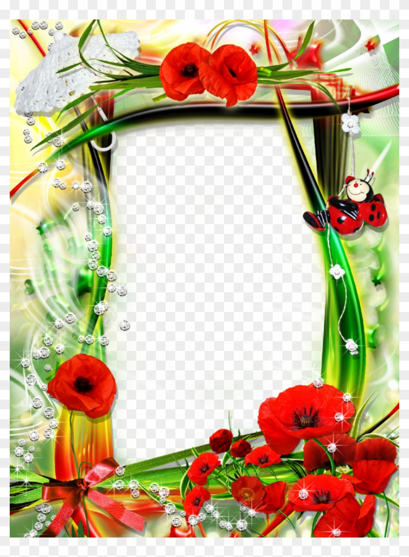 Stylish Picture Frame With Charming Poppy Flowers - Picture Frame #364098