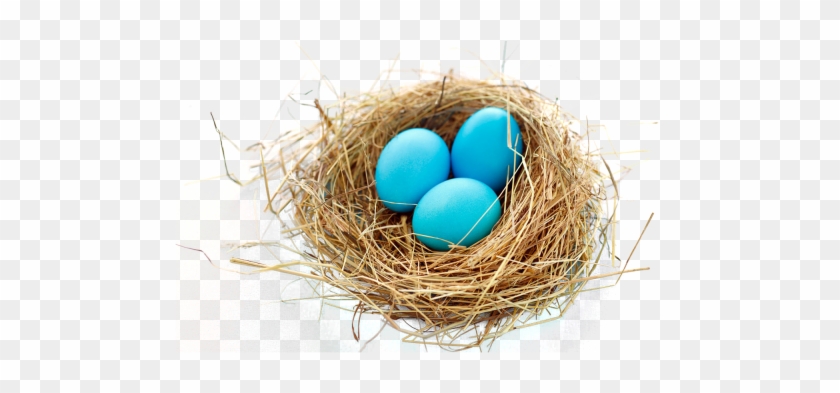 Nest Png Transparent Image - Nest Png #364117