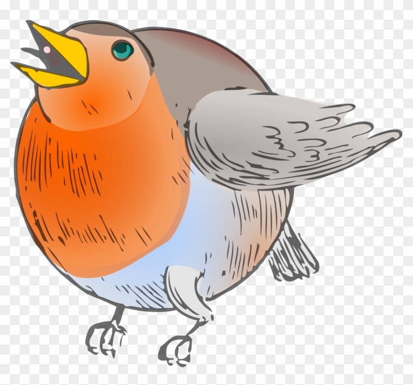 Robin Clipart Transparent - Round Robin #364127