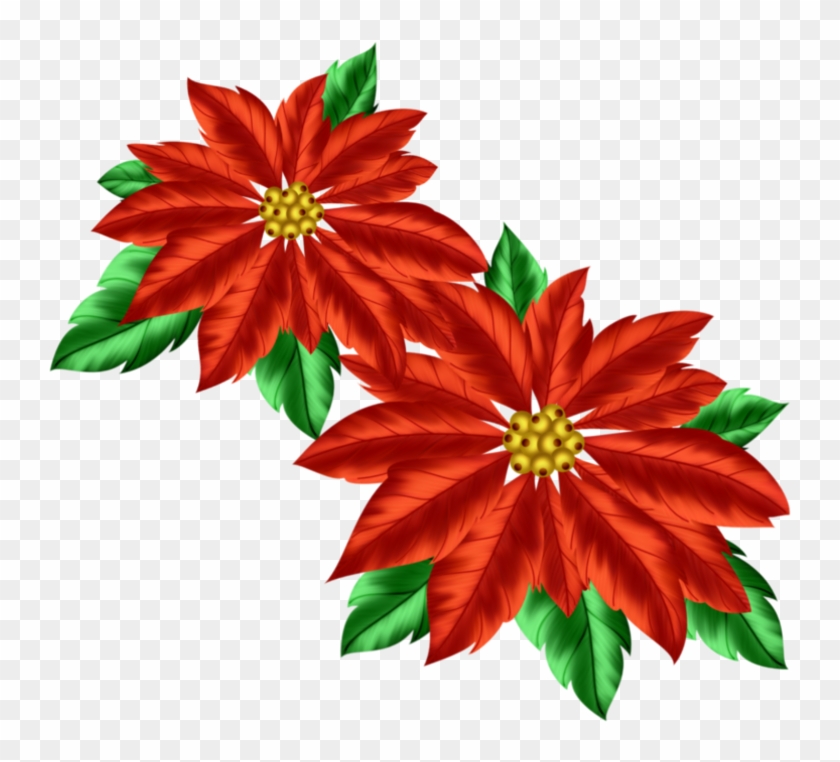 Poinsettia Clipart Transparent - Poinsettia #364137