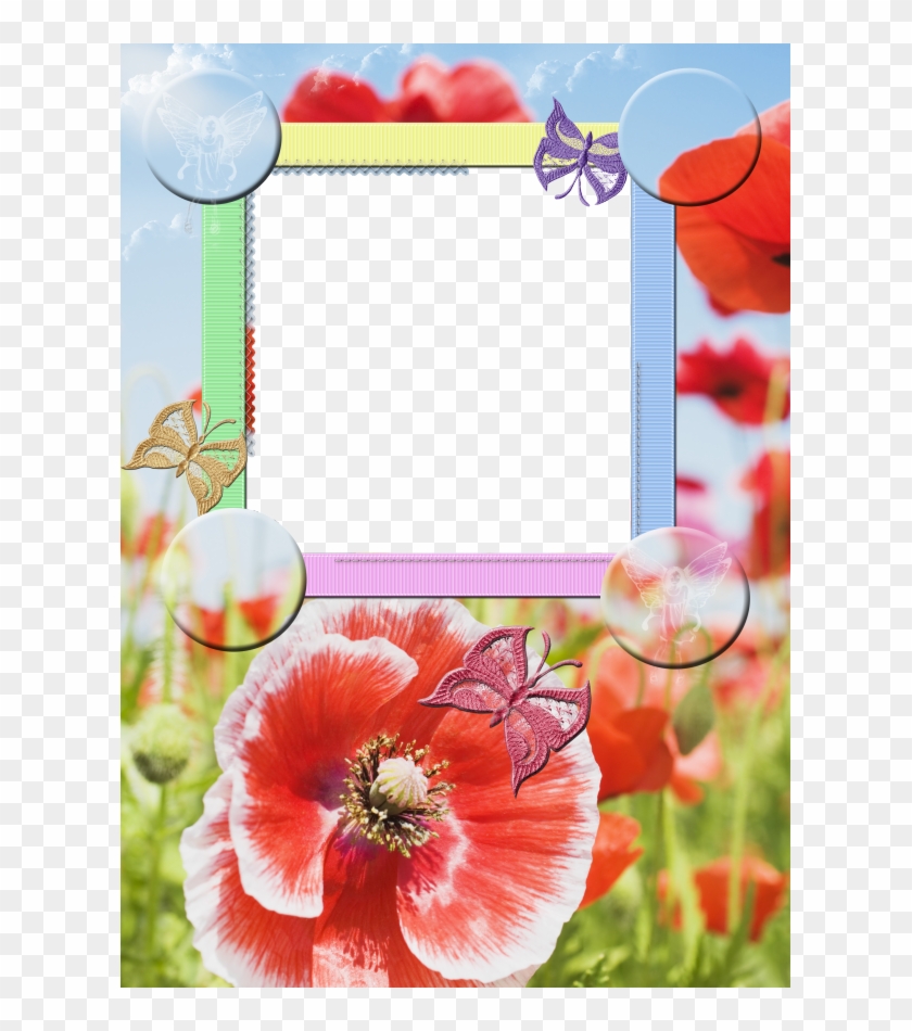 Publicat De Eu Ciresica La - Picture Frame #364150