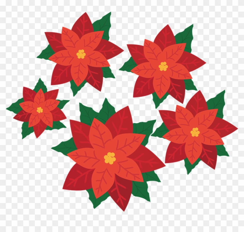 Christmas Poinsettia Clipart - Poinsettia Flower Png #364153