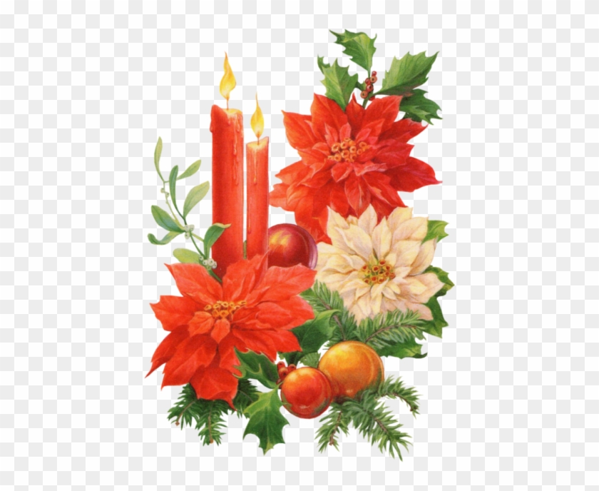 Poinsettia Clipart Christmas Decor - Candele E Stelle Di Natale #364157