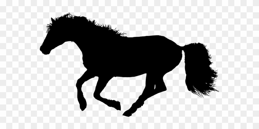 Animal, Equine, Galloping, Horse - Horse Galloping Png #364285