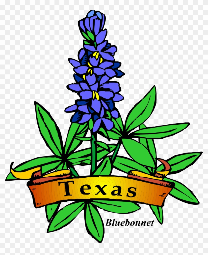 Texas State Flower Drawing #364372