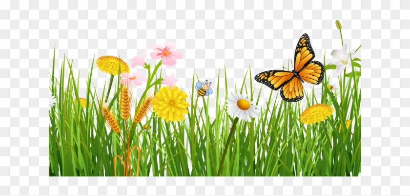 Primavera Com Borboletas Lindo Fundo Grama Livre Png - Nature Background Clipart Transparent #364423