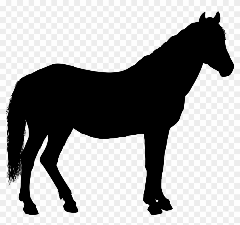 Horse Silhouette 3 - Horse Silhouette #364498