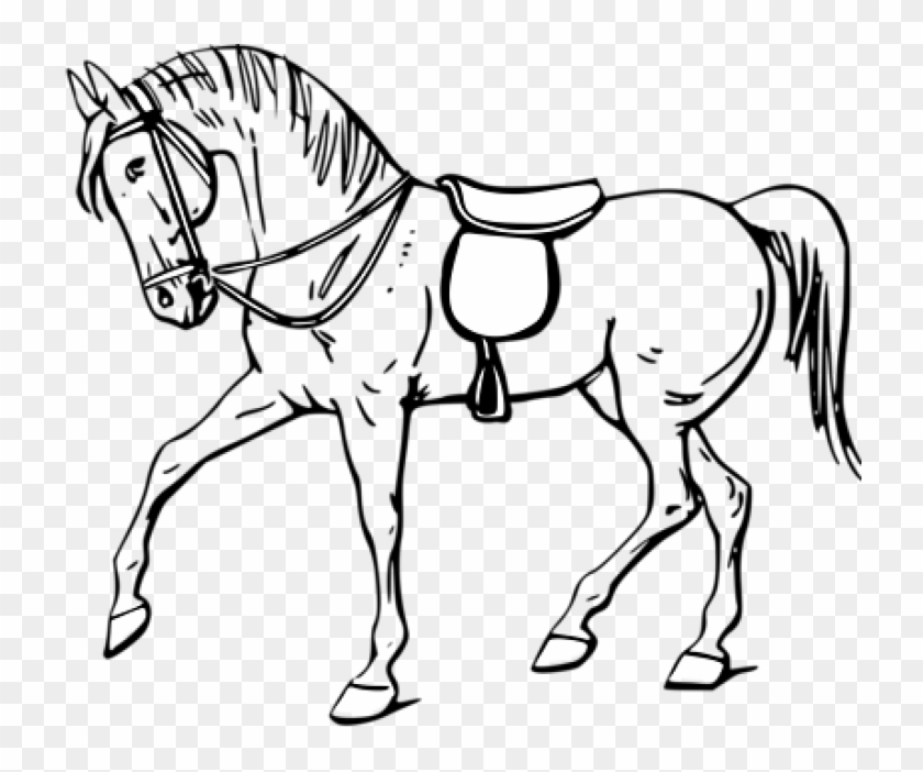Permalink To Horse Clipart Black And White Volleyball - Outline Of A Horse #364514