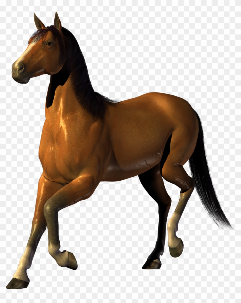 Horse Clipart Transparent - Transparent Background Clipart Horse #364530