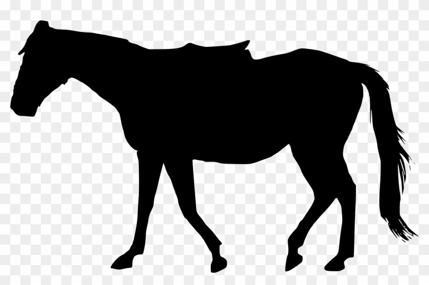 Free Download - Horse Silhouette Png #364531