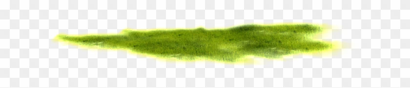Cartoon Transparent Material In The Tender Grass - Grass #364538