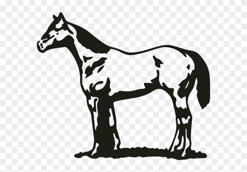 Horse - Foal #364556