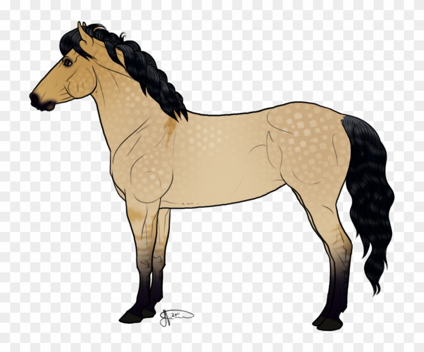 Of Horse Drawings Free Download Free Clip - New Forest Pony Drawing #364561