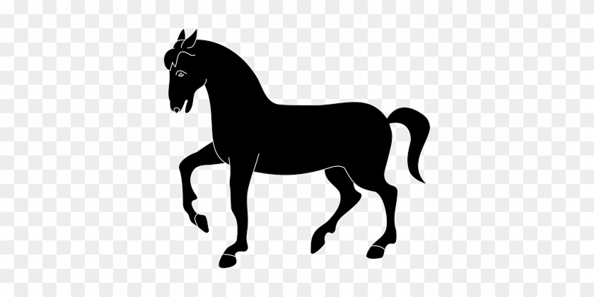 Animal Equine Horse Mammal Horse Horse Hor - Uruguay Coat Of Arms #364565