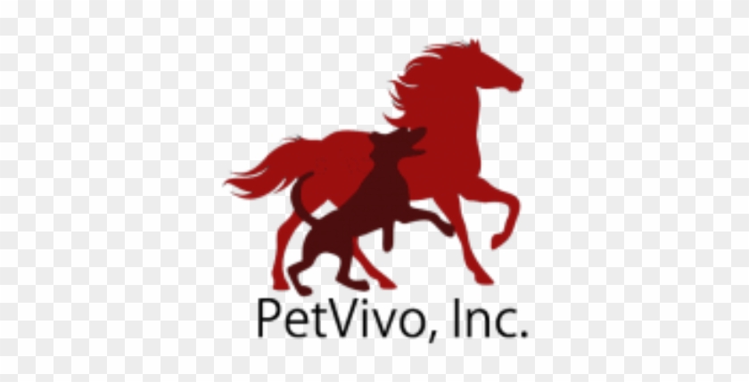 John Lai, Ceo For Petvivo Holdings, Explains How Their - Petvivo Holdings #364680